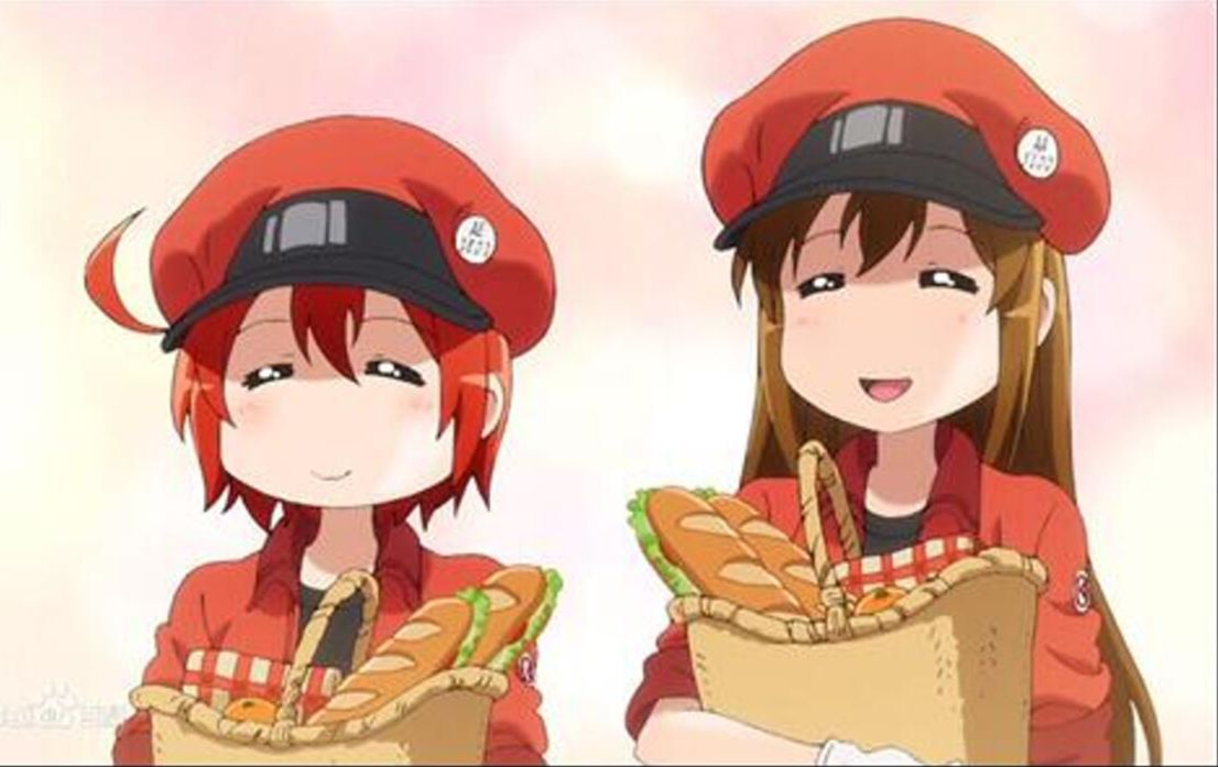 【创想兵团x工作细胞】如何捏一个红血球