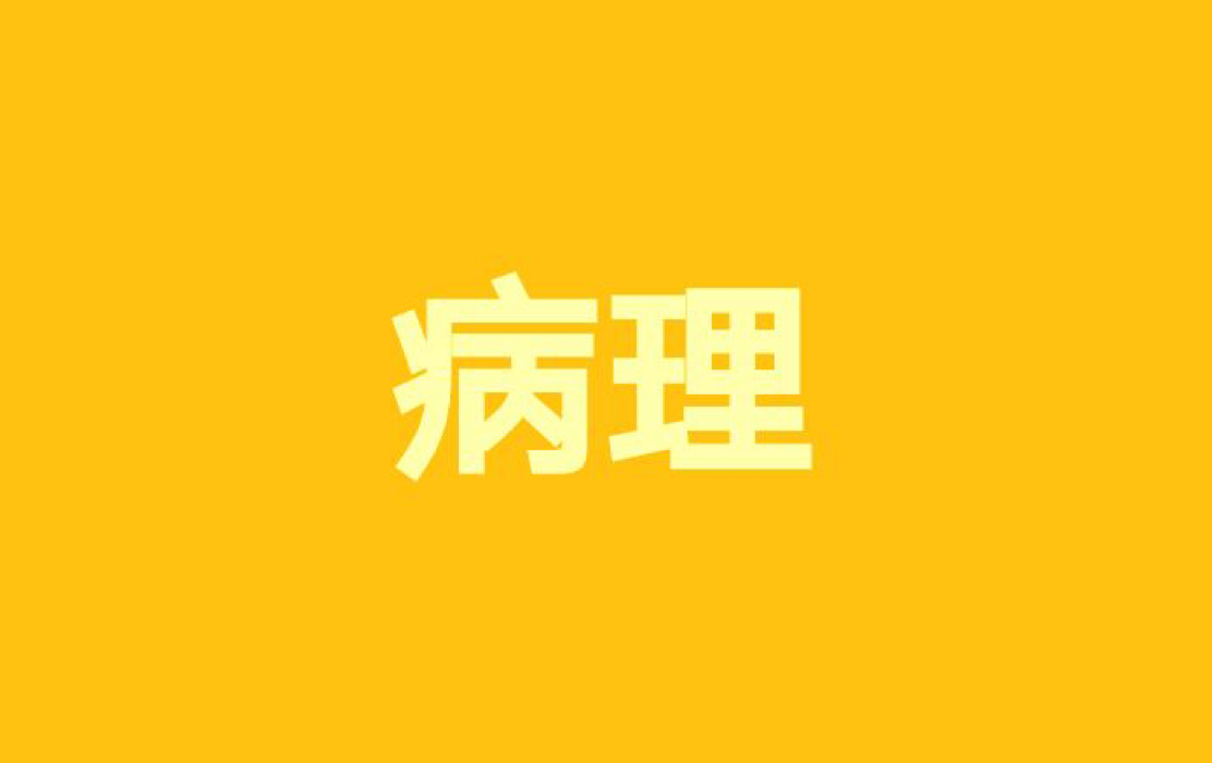 1.西医综合病理带背——细胞和组织的适应与损伤,损伤的修复,局部血液循环障碍哔哩哔哩bilibili