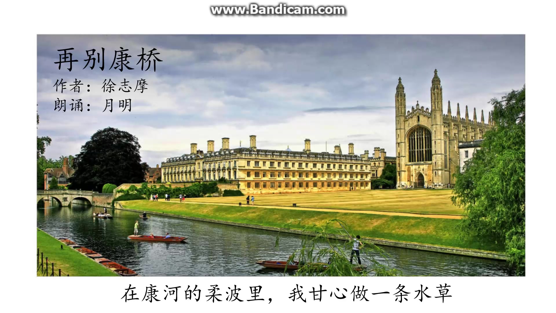 【月明】我有特别的朗诵技巧《再别康桥》