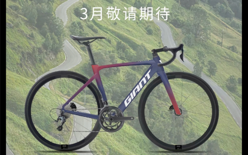 2024年最新款公路车型到货,捷安特pcr,喜德盛ad350,佳沃鱼雷6top,需要