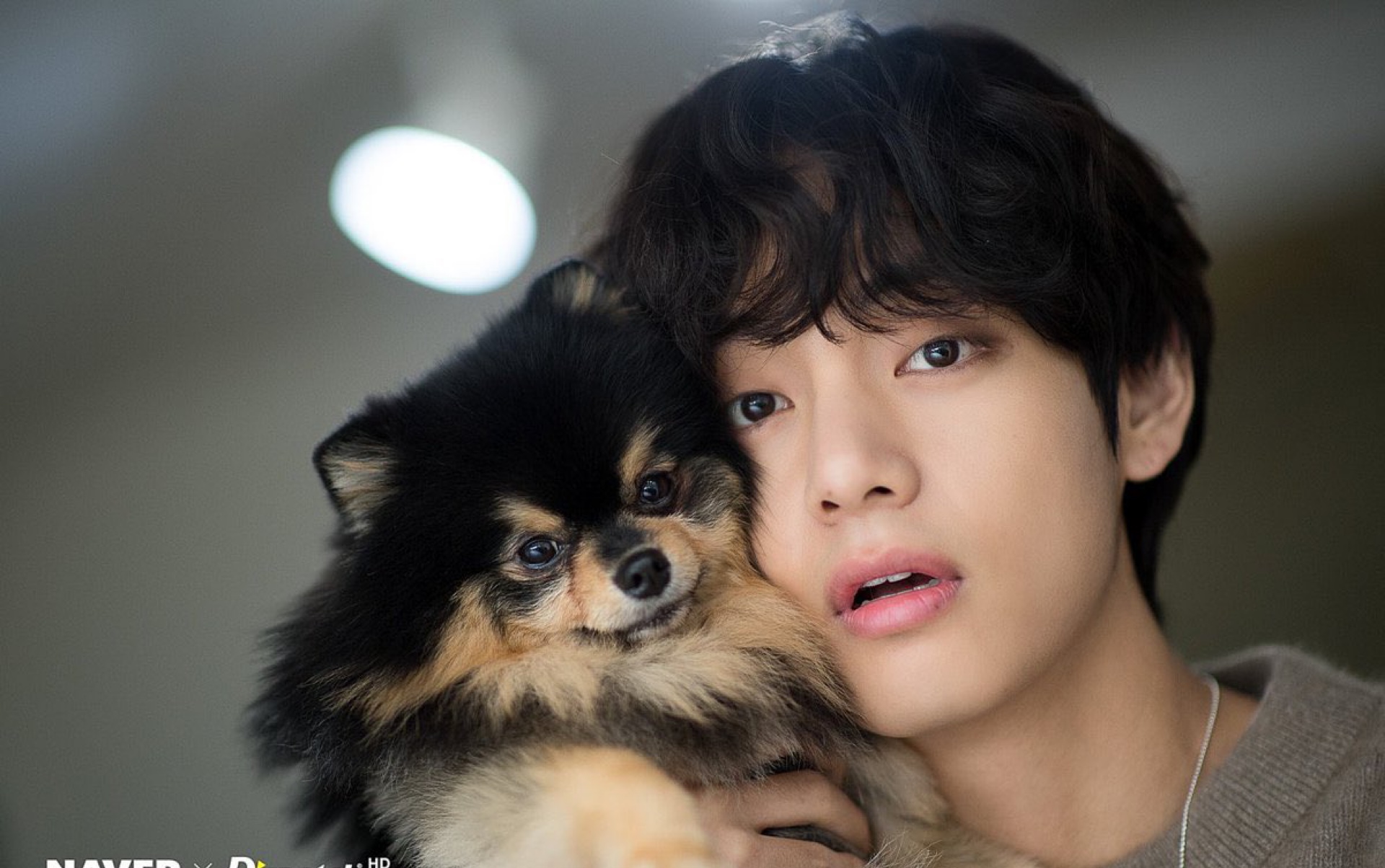 金碳首登kbs《娱乐周刊》,恭喜金碳电视台出道!