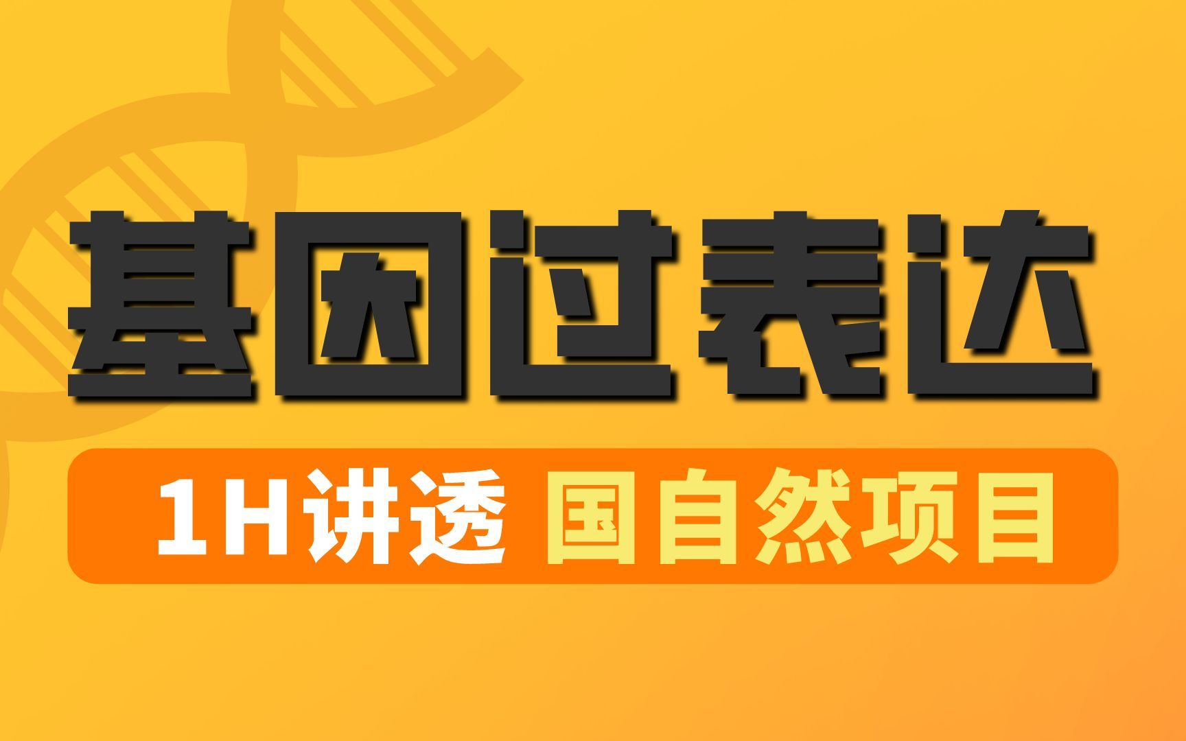 基因过表达 | 献给初学者,基因功能研究时,如何在细胞内过表达基因?哔哩哔哩bilibili