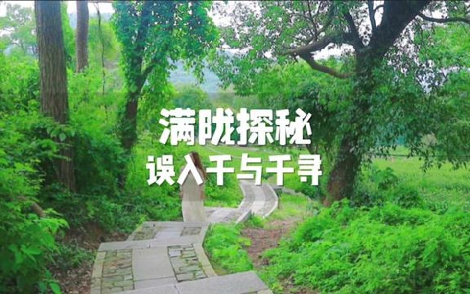 [图]又到了满城飘香的季节，除了千与千寻的汤屋，这里有杭州醉美的桂花