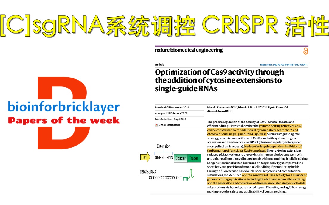 【文献精选|EP05】[C]sgRNA 系统调控 CRISPR 活性哔哩哔哩bilibili