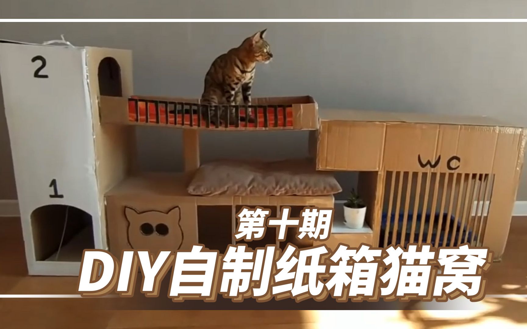 DIY旧物利用纸箱猫窝 新手养猫省钱小技巧 宠物视频第十期哔哩哔哩bilibili