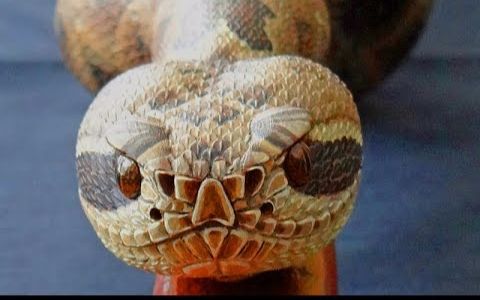 【手杖大爷#60】木雕响尾蛇手杖wood carved rattlesnake walking