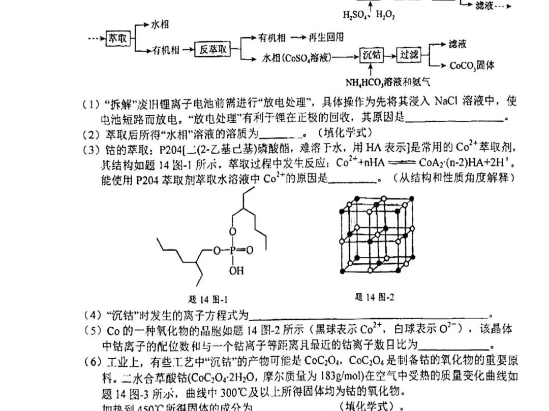 江苏省盐城中学20242025学年高三上学期10月月考试题哔哩哔哩bilibili