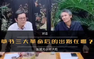 下载视频: 张旭光：草书三大变革后，我们的出路在哪？如何创新？