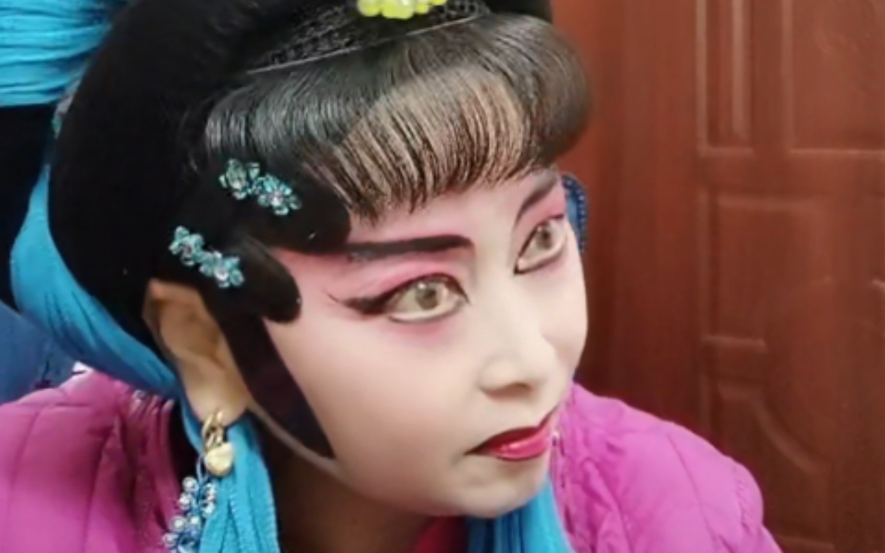 【戏曲】湖南花鼓戏《打龙袍》之十不想合集——刘伏英个人唱段合集
