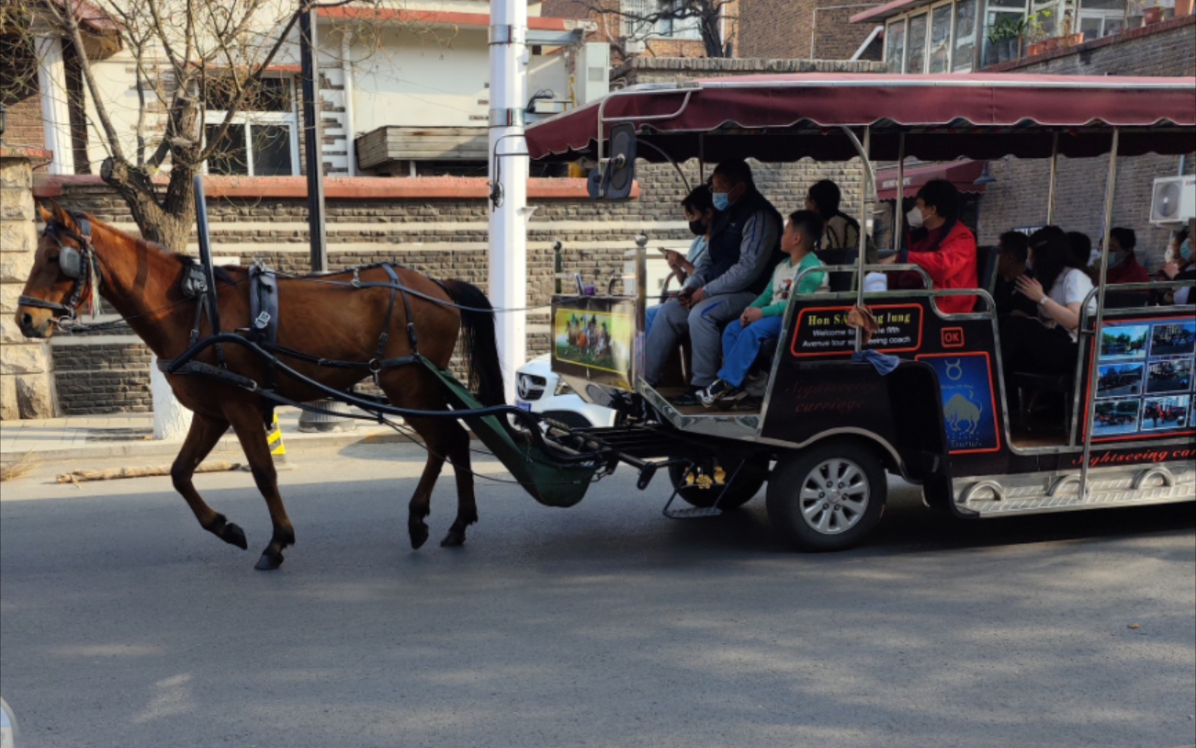 在五大道坐马车是一种什么体验?