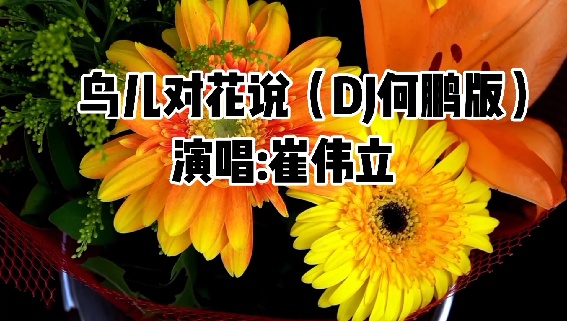 [图]一首《鸟儿对花说（DJ何鹏版）》鸟儿对花儿说，它也爱唱情歌