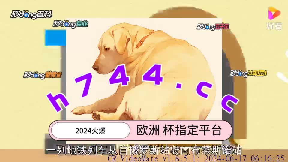 8.00月];澳门管家婆-肖一码