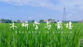 乡村美育线上艺术季第十一期 01：湖南一禾·箭楼村自然与人文艺术创新教育园