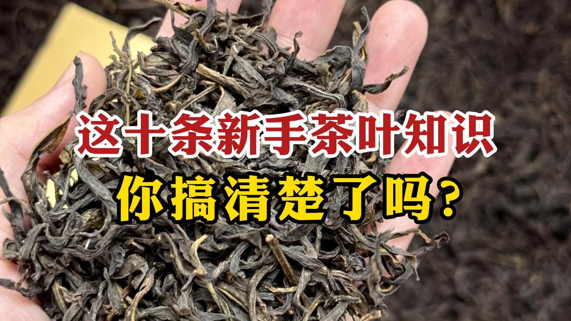 这十条新手茶叶知识!连喝茶20年老茶客都会弄错,你搞清楚了吗?哔哩哔哩bilibili