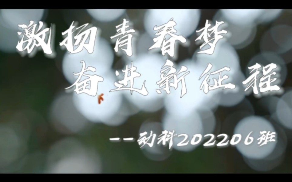 《激扬青春梦 奋斗新征程》动科202206班 四川农业大学“初遇川农 易路有你”2022级十佳新生网络班集体评选活动小班文化展示哔哩哔哩bilibili