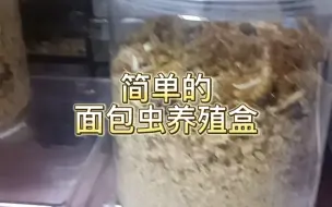 Download Video: 分享一种简单的面包虫饲养盒