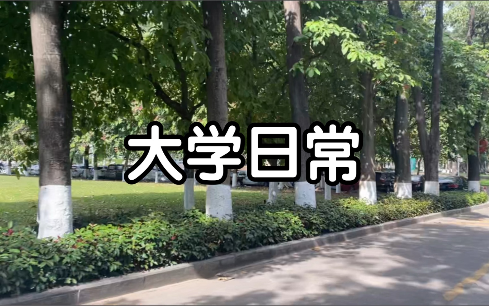 [图]华南理工大学日常生活