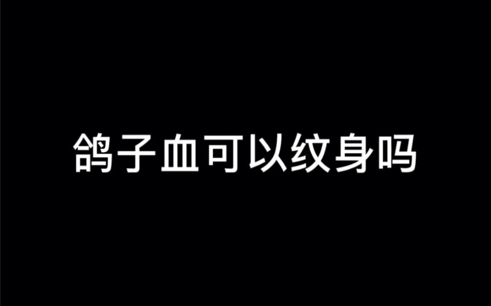 不建议 用鸽子血来做纹身哔哩哔哩bilibili