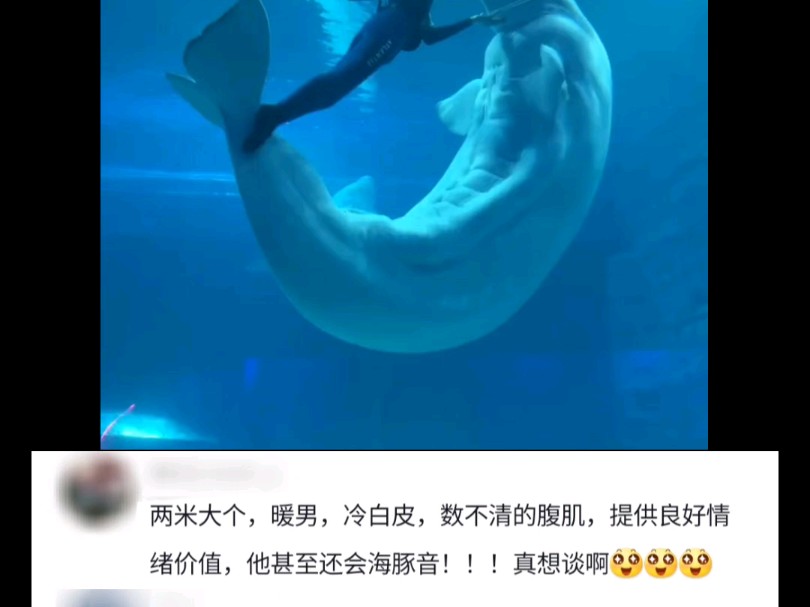 冷白皮,八块腹肌,体育生,游泳健将