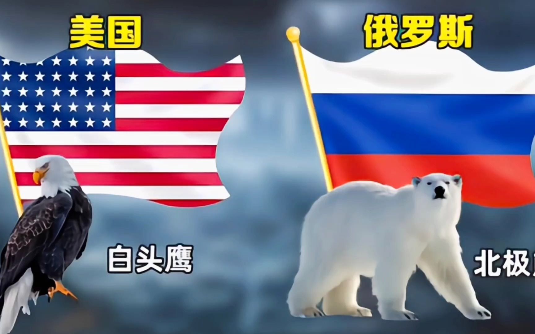 如果把国家比作动物,美国是鹰,俄罗斯是熊,我们国家是什么?