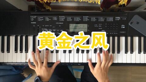 电子琴 Jojo的奇妙冒险黄金之风 木大木大木大木大木大木大木大木大木大木大木大木大木大 哔哩哔哩 电子琴 Jojo的奇妙冒险黄金之风 木大木大木大木大木大木大木大木大木大木大木大木大木大 哔哩哔哩