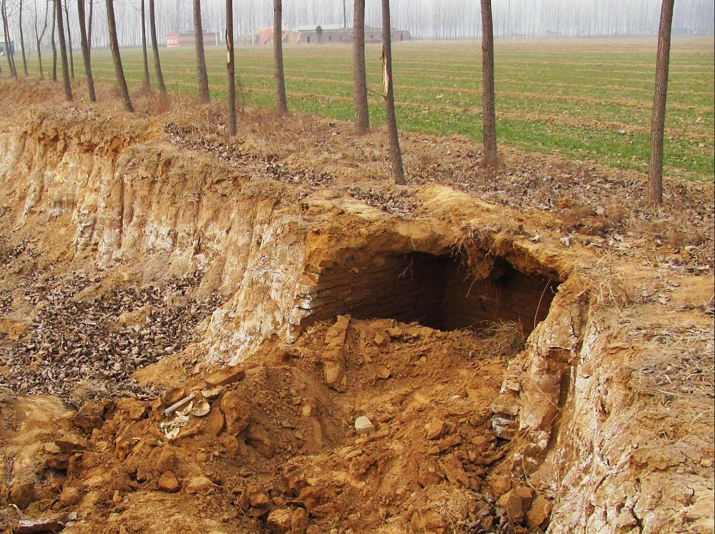 村民带着外地人挖墓,结果招来七伙盗墓贼,玉米地挖得像蜂窝煤