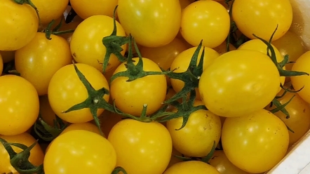 每日新鲜水果哈尔滨市场