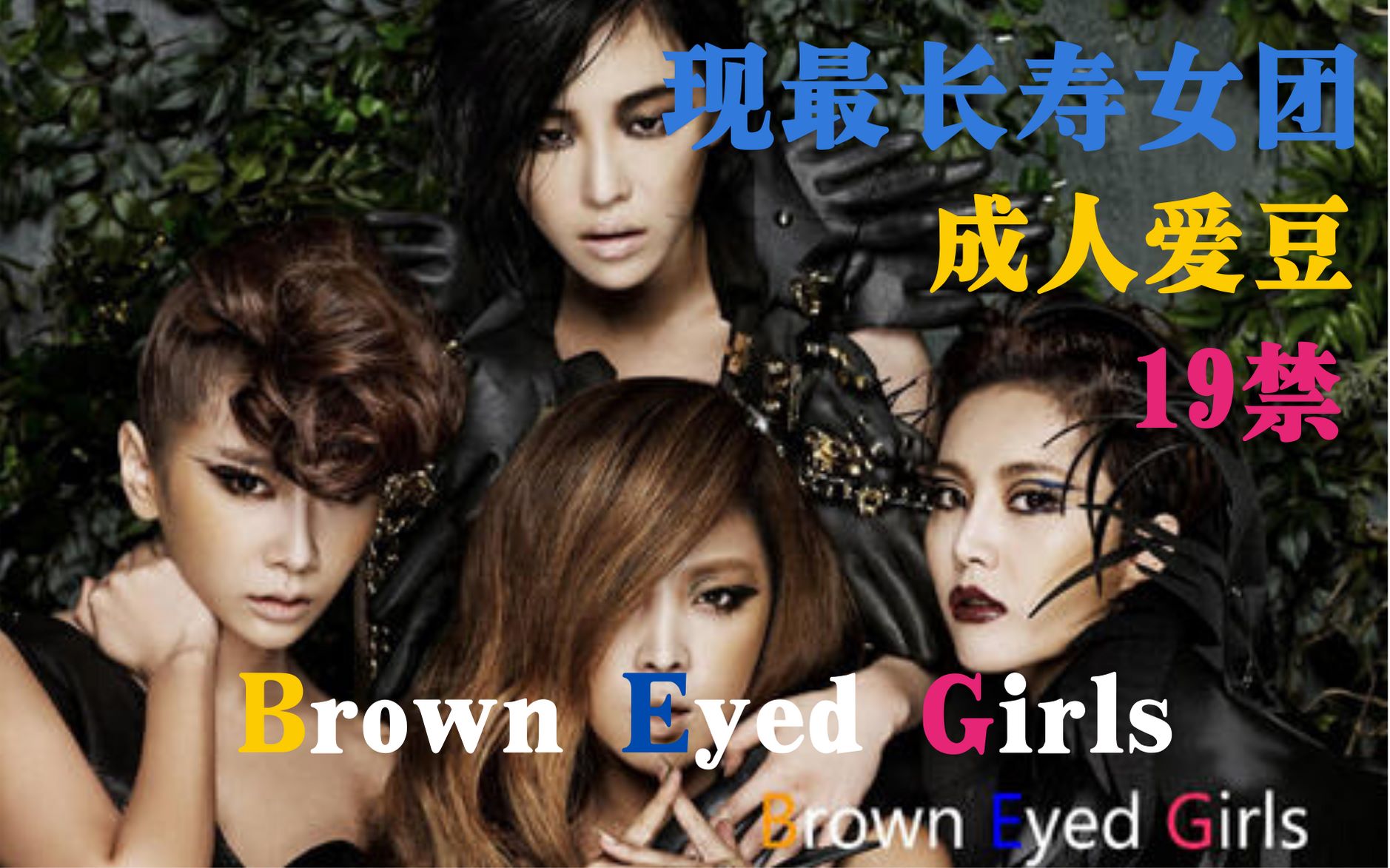 【数据科普】Brown Eyed Girls | 以小清新出逼,靠性感霸气出圈?| 实力超强四姨母哔哩哔哩bilibili