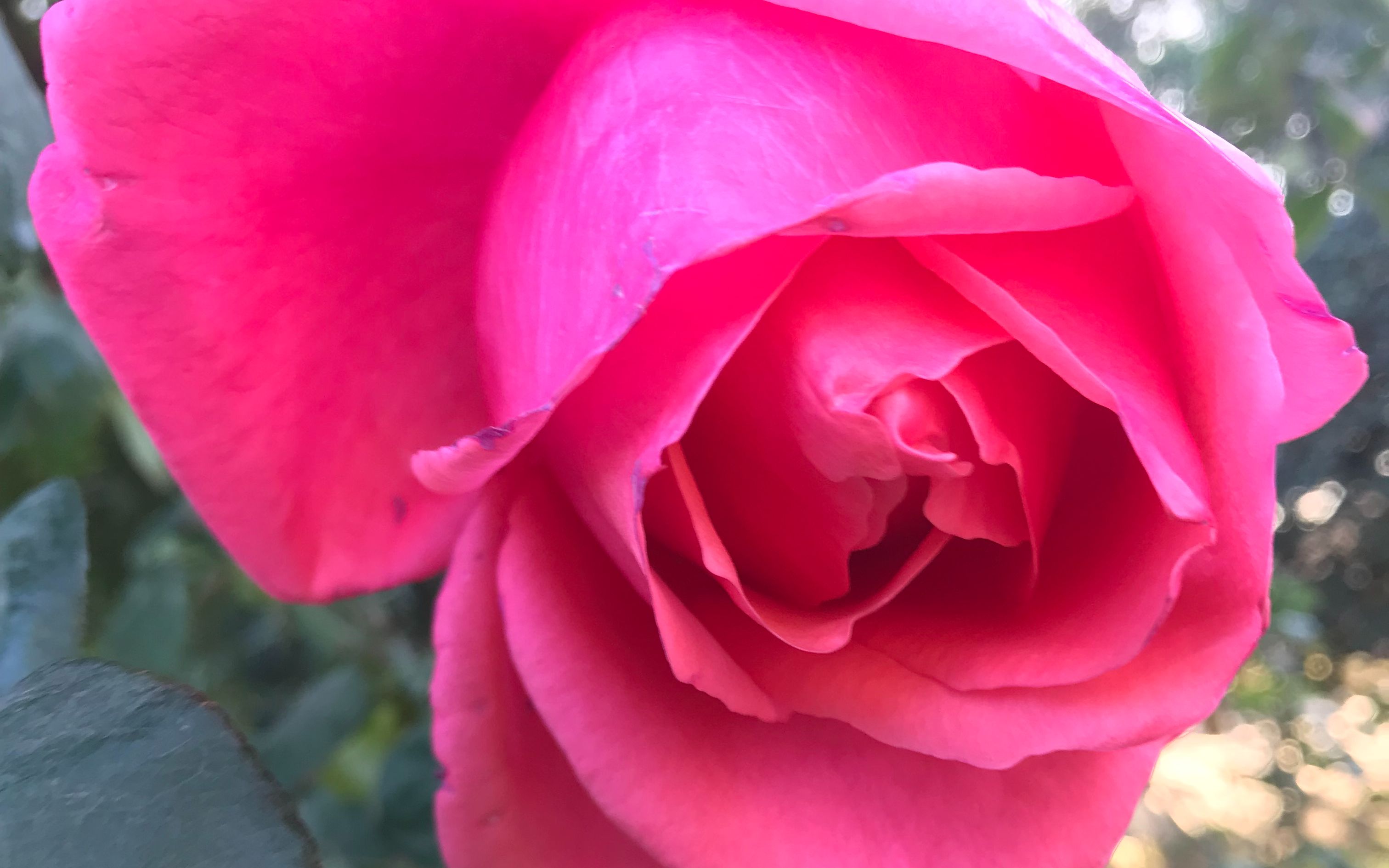 苹果7plus 4k视频测试