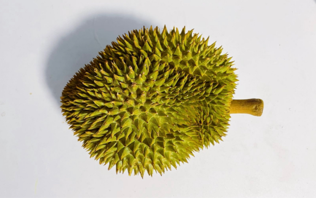 126 | 诺卡吉(糯卡兹)]干爽软糯的诺卡吉榴莲,这种干包还不是绝绝子?