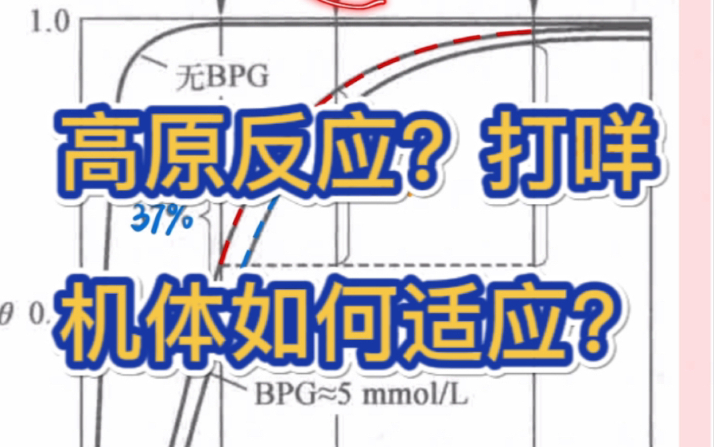 生物化学之BPG对高原反应的调节机制哔哩哔哩bilibili