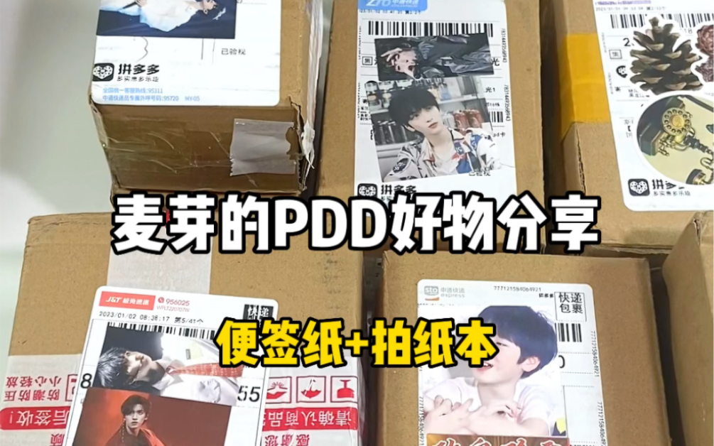 PDD好物分享便签纸+拍纸本哔哩哔哩bilibili