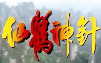 【怀旧】1992年《仙鹤神针》(邓浩光,杨玉梅,翁虹,林祖辉,尹天照,刘玉婷,苑琼丹,麦景婷,欧锦棠,陈靖允,潘志文 )哔哩哔哩bilibili