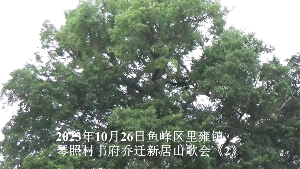 2023年10月26日鱼峰区里雍镇琴照村韦府乔迁新居山歌会《2》