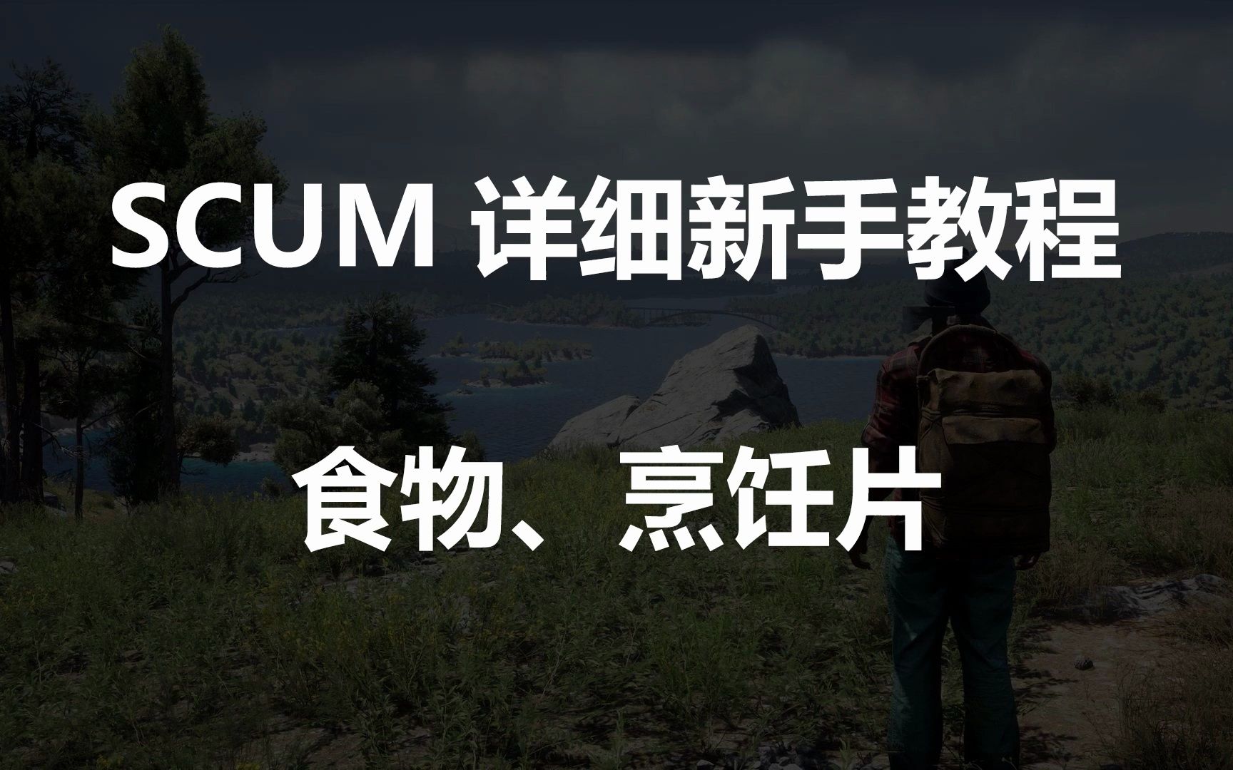 SCUM人渣详细新手教程——食物、烹饪片单机游戏热门视频