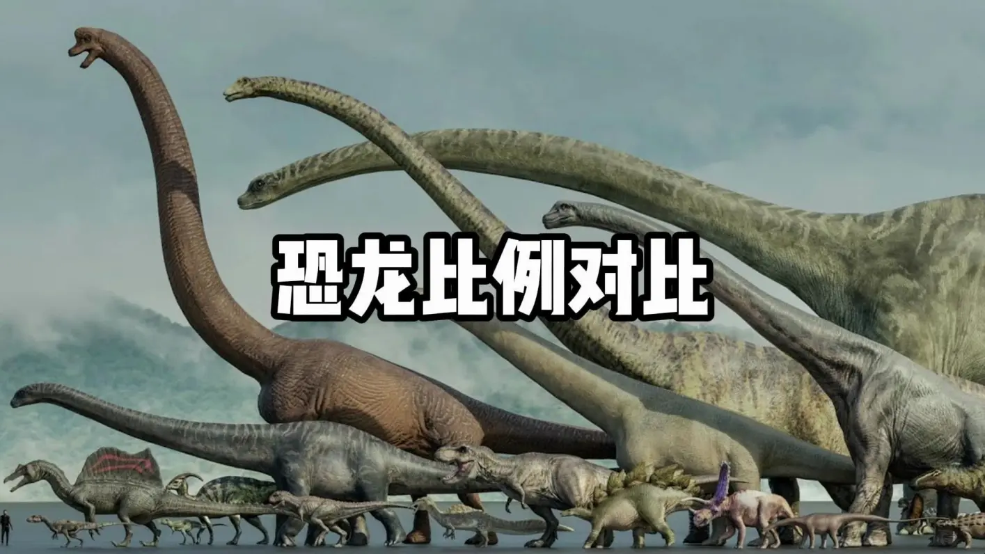 最新恐龙比例对比