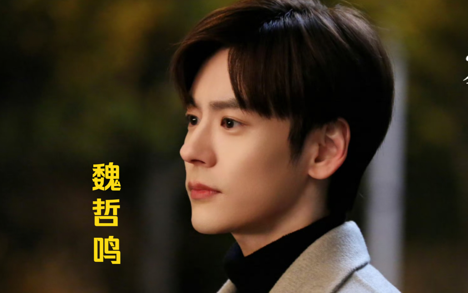 魏哲鸣,26-33岁,荧屏变化.