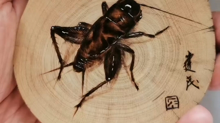 手工烙画"蛐蛐"