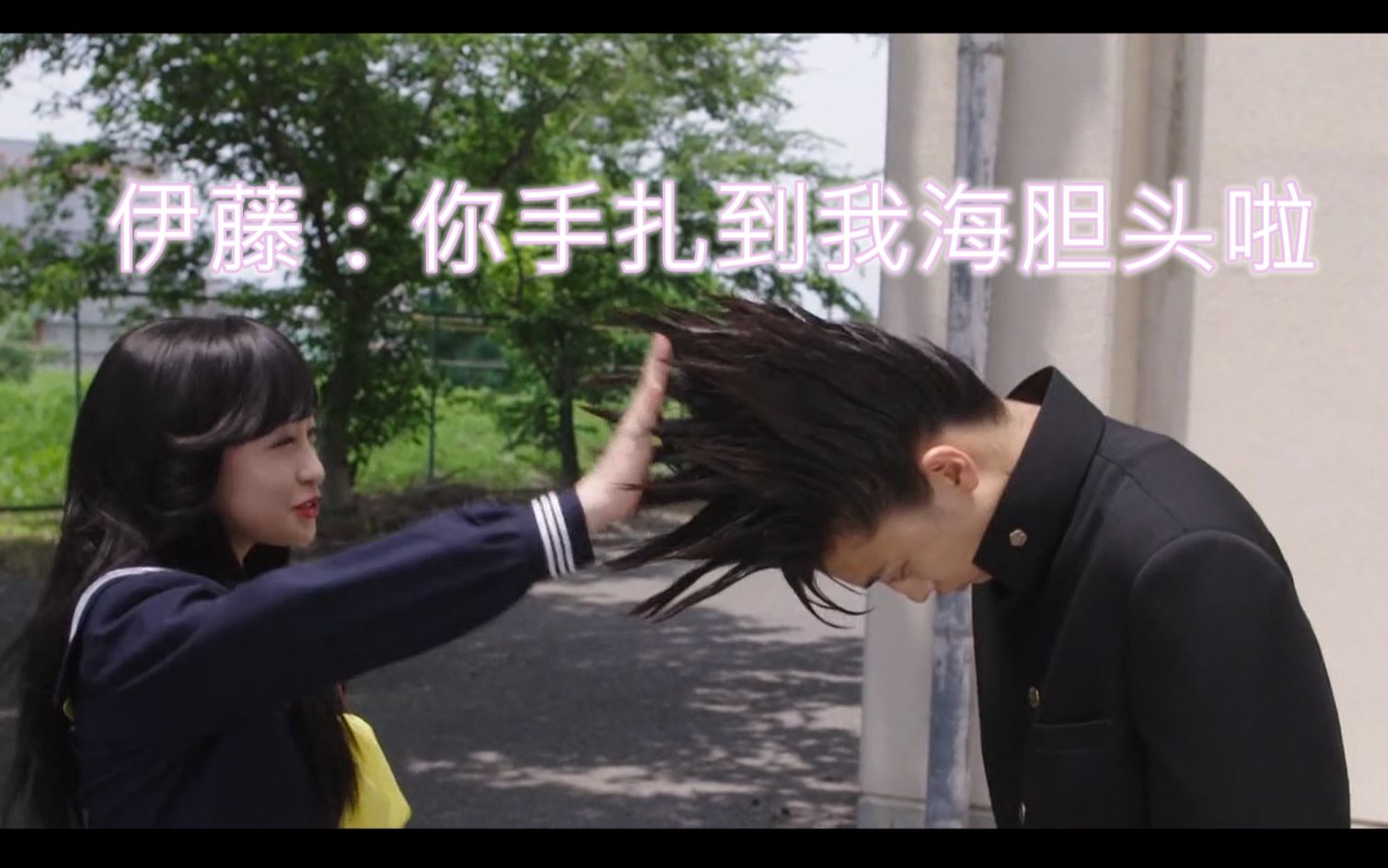 【我是大哥大[伊藤健太郎&桥本环奈]名场面剪辑】【可爱くなりたい】