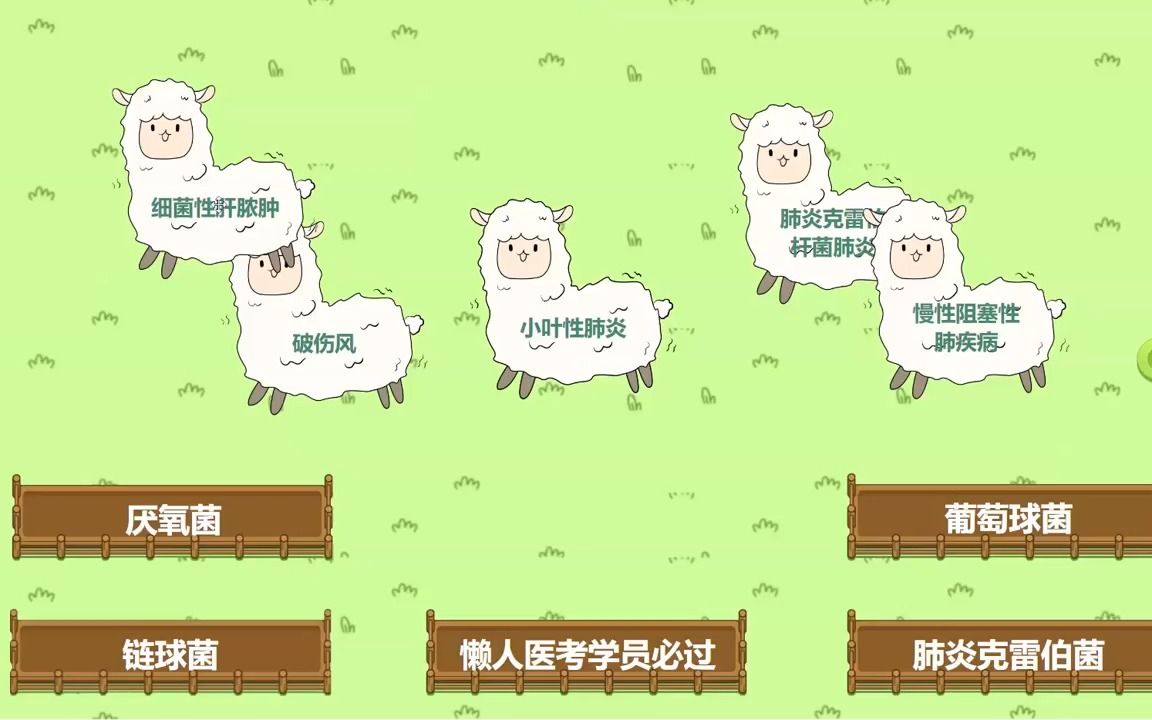 医考“首选菌”!哔哩哔哩bilibili