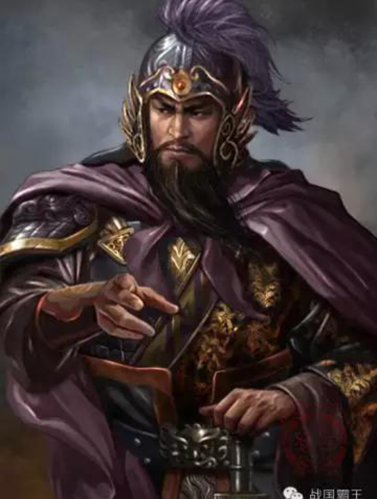 王侯将相宁有种乎(武)下