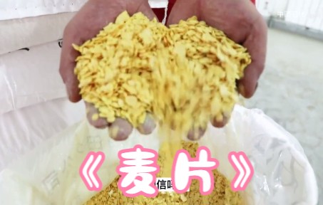 麦片(石油副产物工业硫磺抢救版)哔哩哔哩bilibili