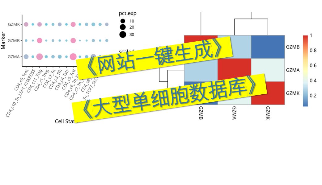 无需代码!MD 安德森T细胞图谱网站哔哩哔哩bilibili