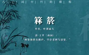 Скачать видео: 古诗词中“竹”的雅称都有哪些‖诗词创作知识积累（建议收藏）