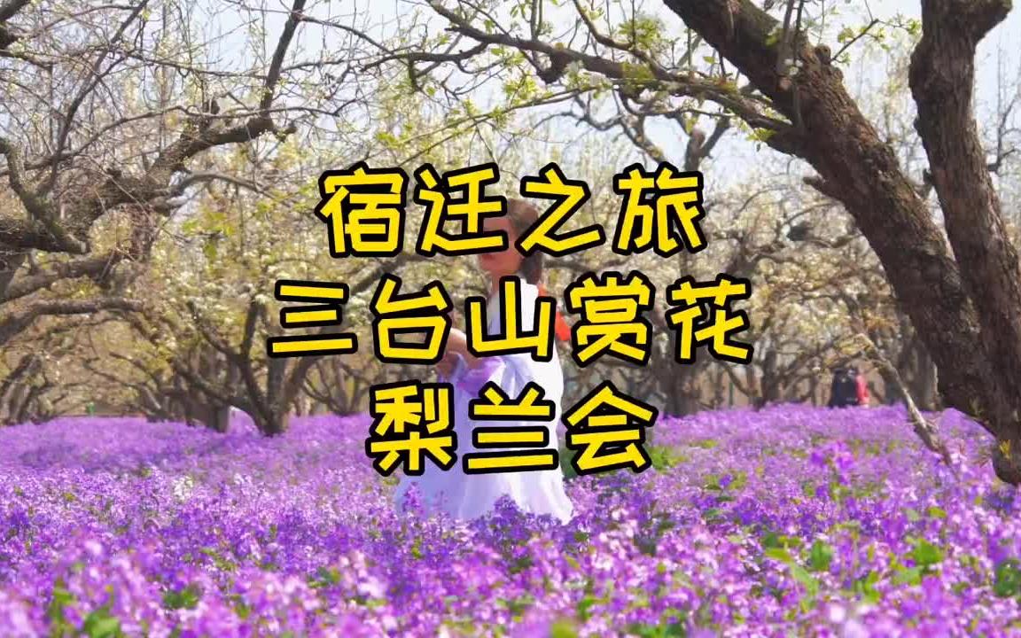 项王故里酒都宿迁旅行星推官四季大赛哔哩哔哩bilibili