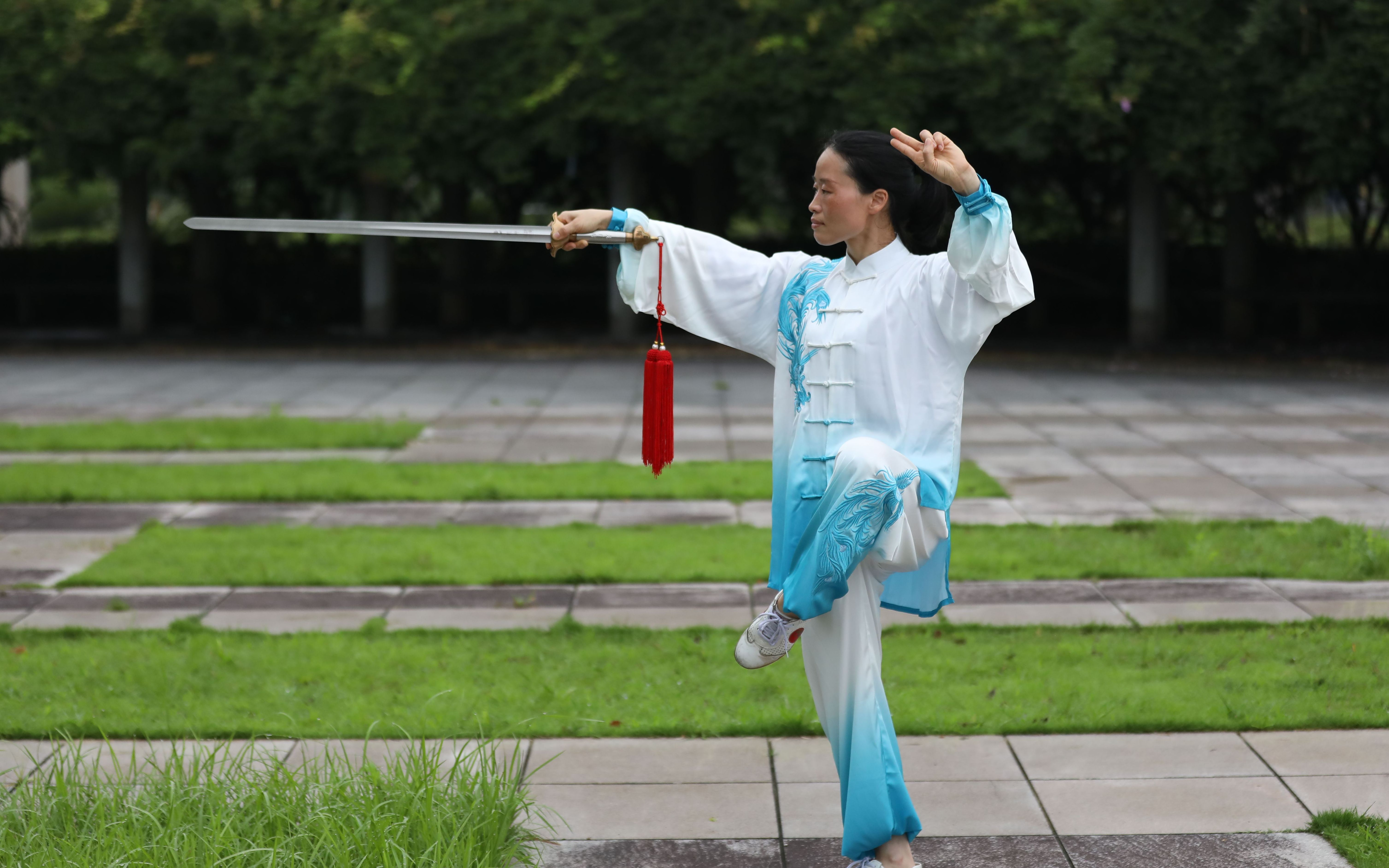 [图]真正的武当太极剑法 境界最高的格斗术 实战水平远胜无想花心剑