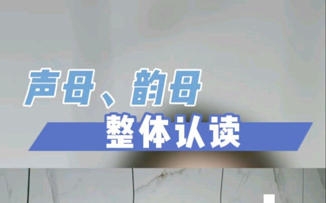 声母、韵母整体认读哔哩哔哩bilibili