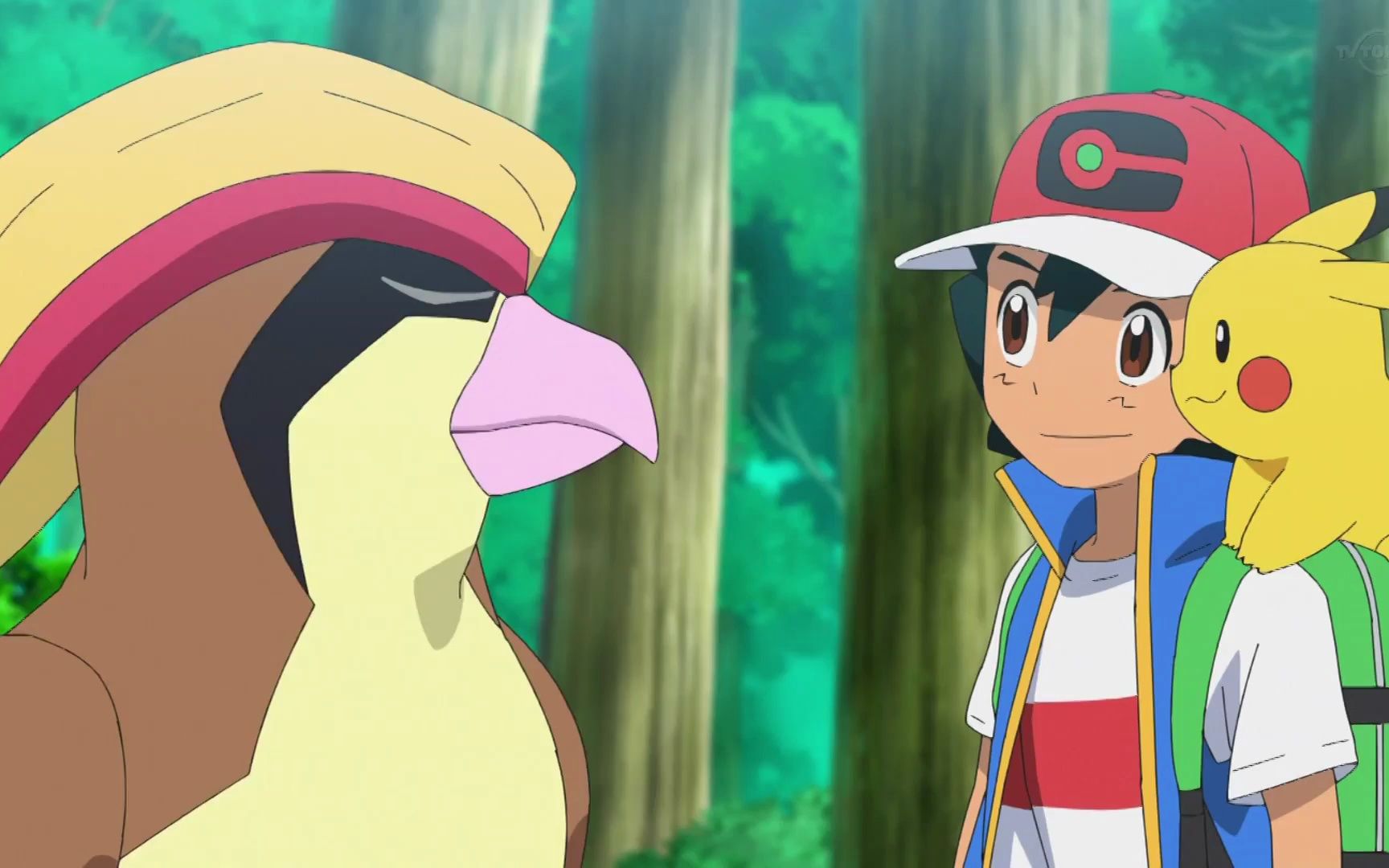 宝可梦最终章 小智接回大比鸟 火箭队和好