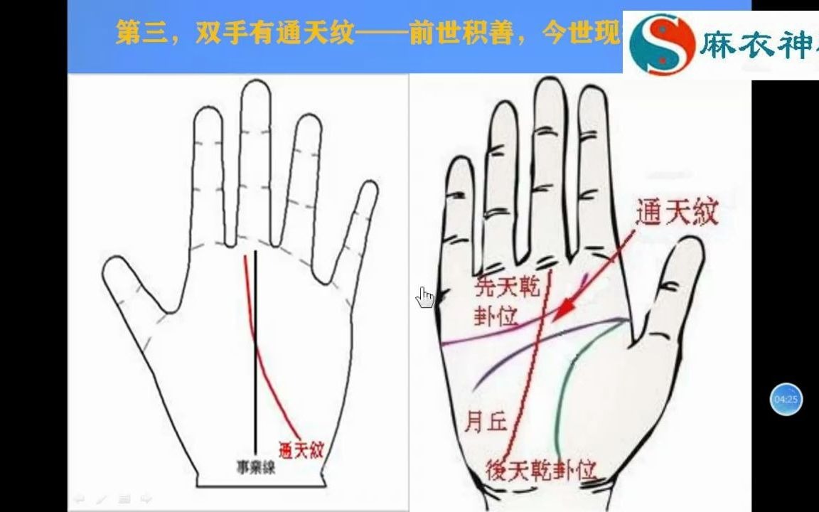 手握通天纹,一生财不断.麻衣手相师见了都超赞!哔哩哔哩bilibili