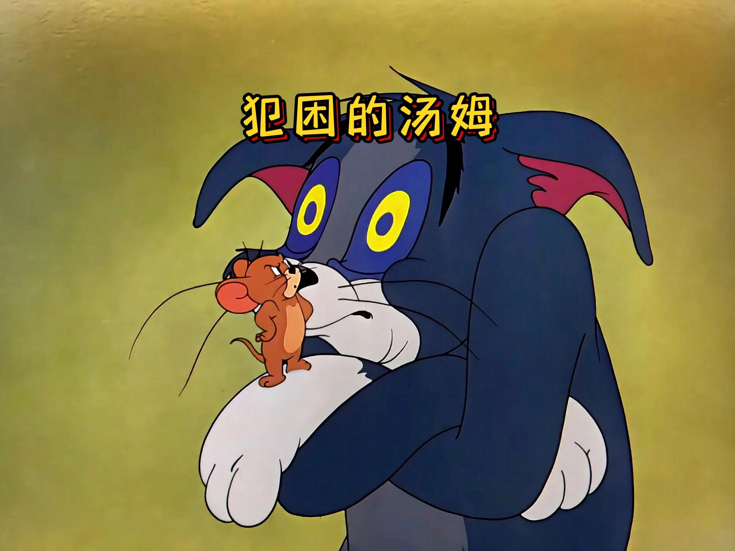 汤姆晚上不睡觉白天犯迷糊